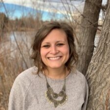 Christine J. Cole, State IECMH Policy: Centering infants, toddlers, preschoolers and their caregivers' in understanding social context and systems