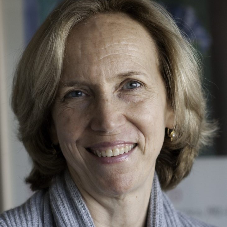 Arietta Slade, The Relational Foundations of Reflection: Safety, Regulation, and Relationships